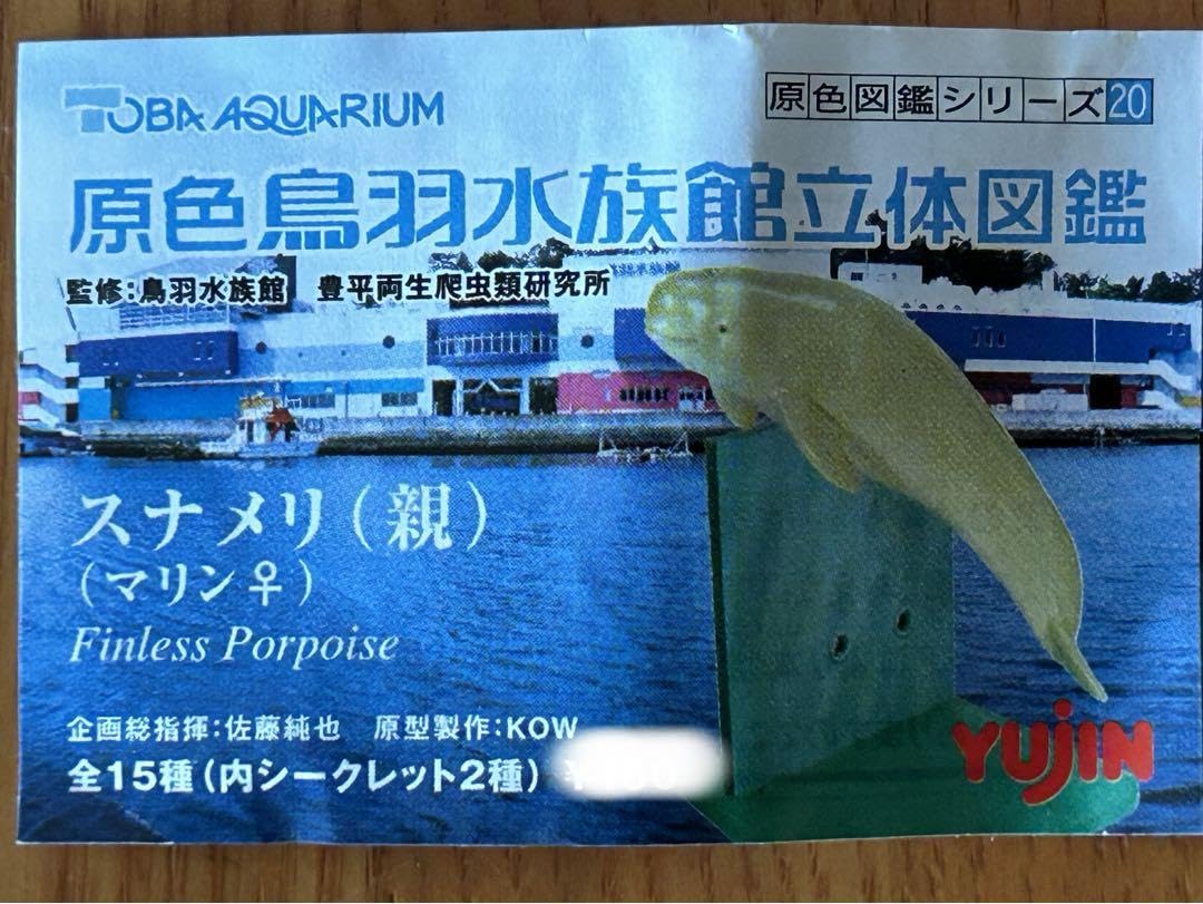 原色図鑑シリーズ20 原色鳥羽水族館立体図鑑全15種フル